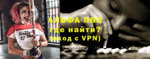 крисы Кулебаки
