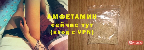 крисы Кулебаки