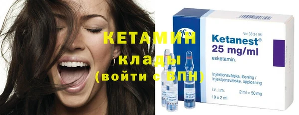 крисы Кулебаки