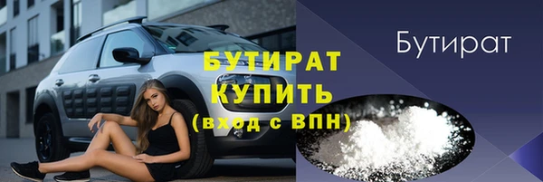 крисы Кулебаки
