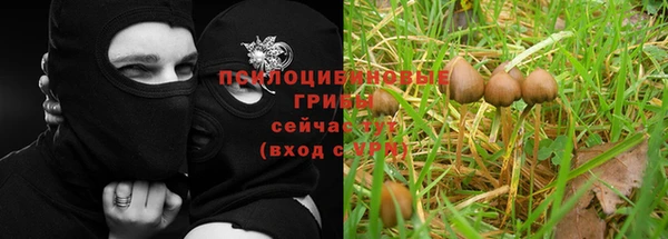 крисы Кулебаки