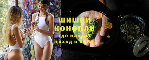 крисы Кулебаки