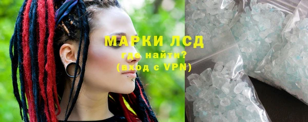 крисы Кулебаки